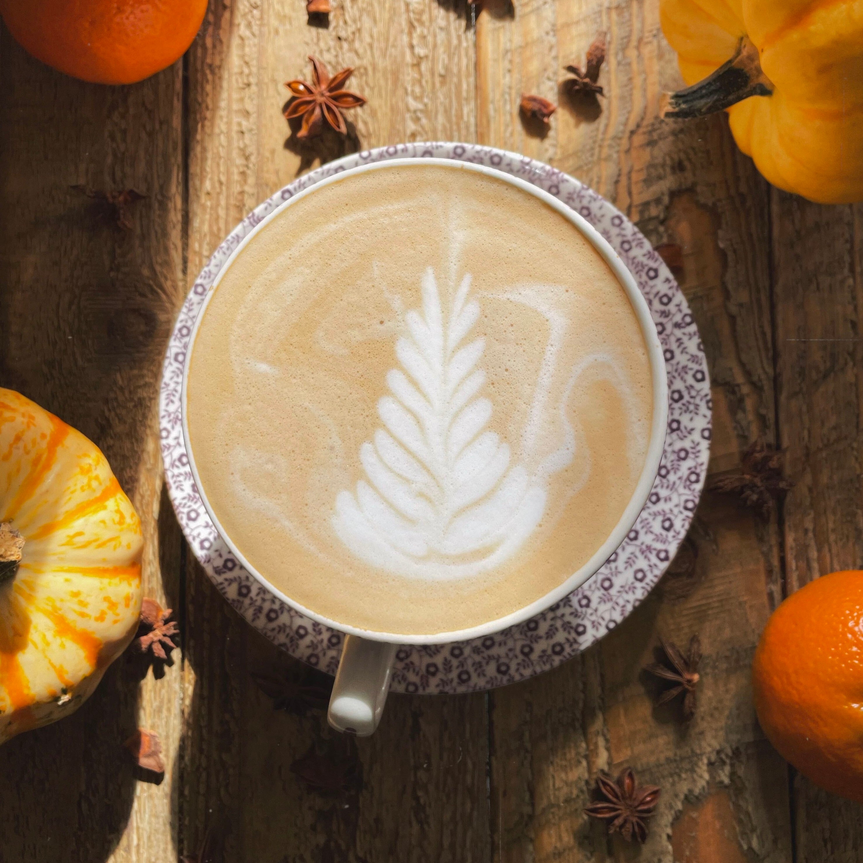Seasonal Drinks 2024