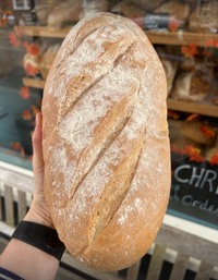 White Bloomer